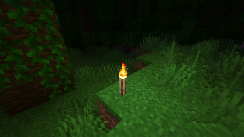 torch